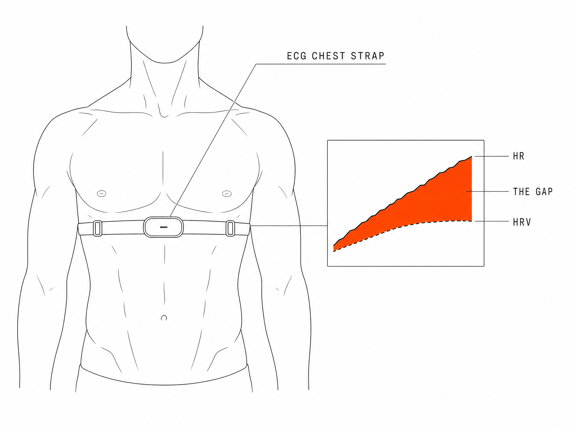 Polar H10 chest rig + Android app in use